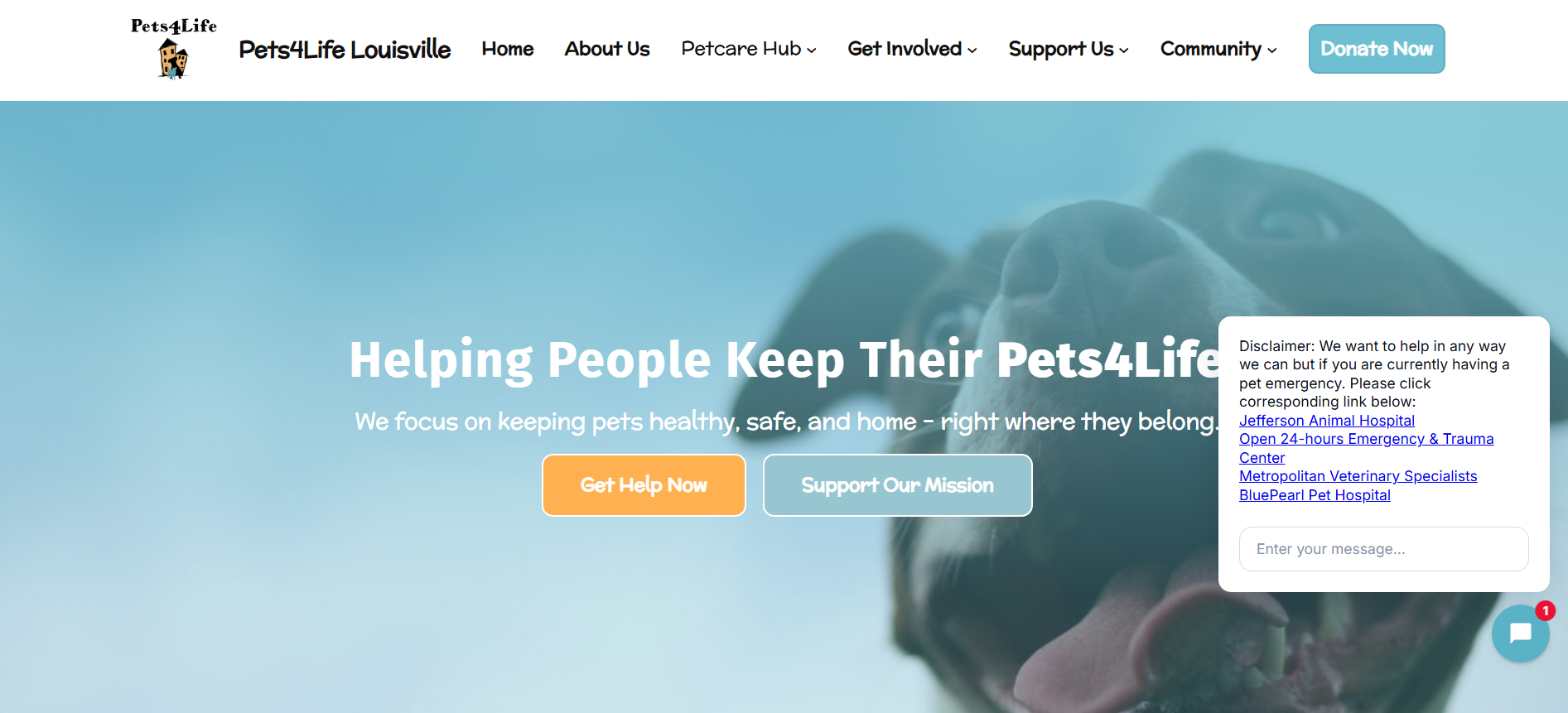 P4L Homepage screenshot